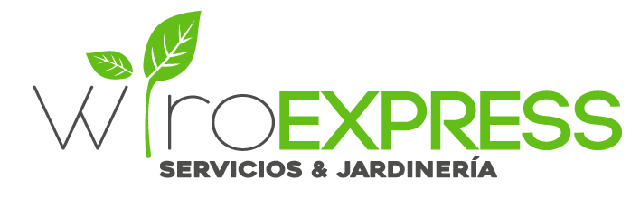 Wiro Express
