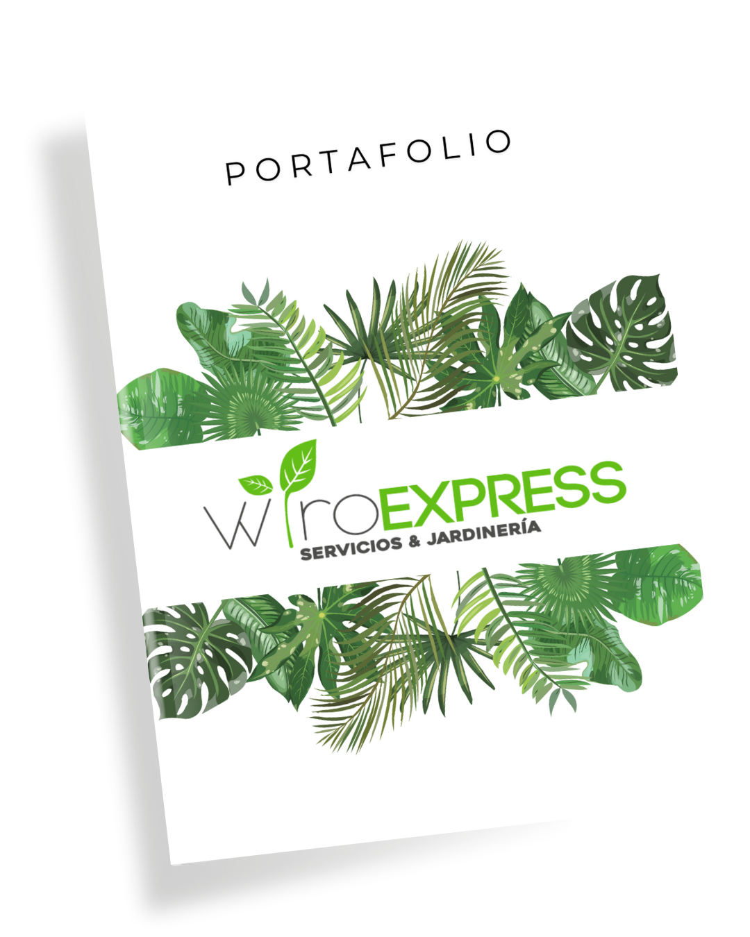 Portafolio